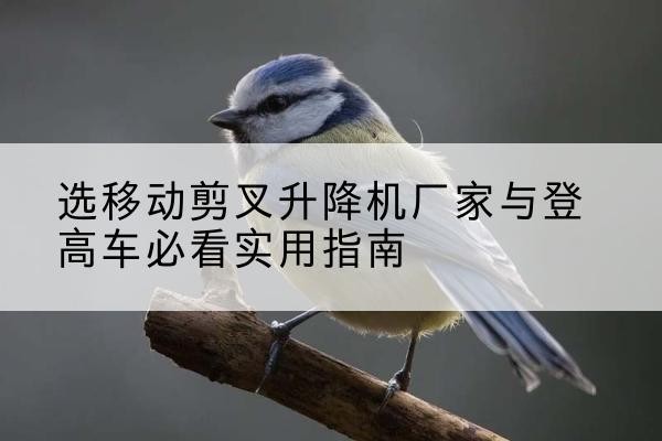 顺河电动升降机厂家-选移动剪叉升降机厂家与登高车必看实用指南