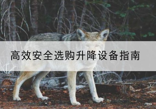顺河升降货梯厂家推荐-*安全选购升降设备指南