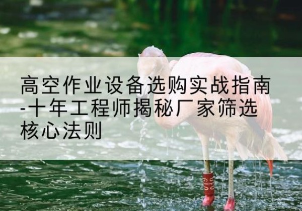 顺河剪叉式升降机厂家-高空作业设备选购实战指南-十年工程师揭秘厂家筛选核心法则